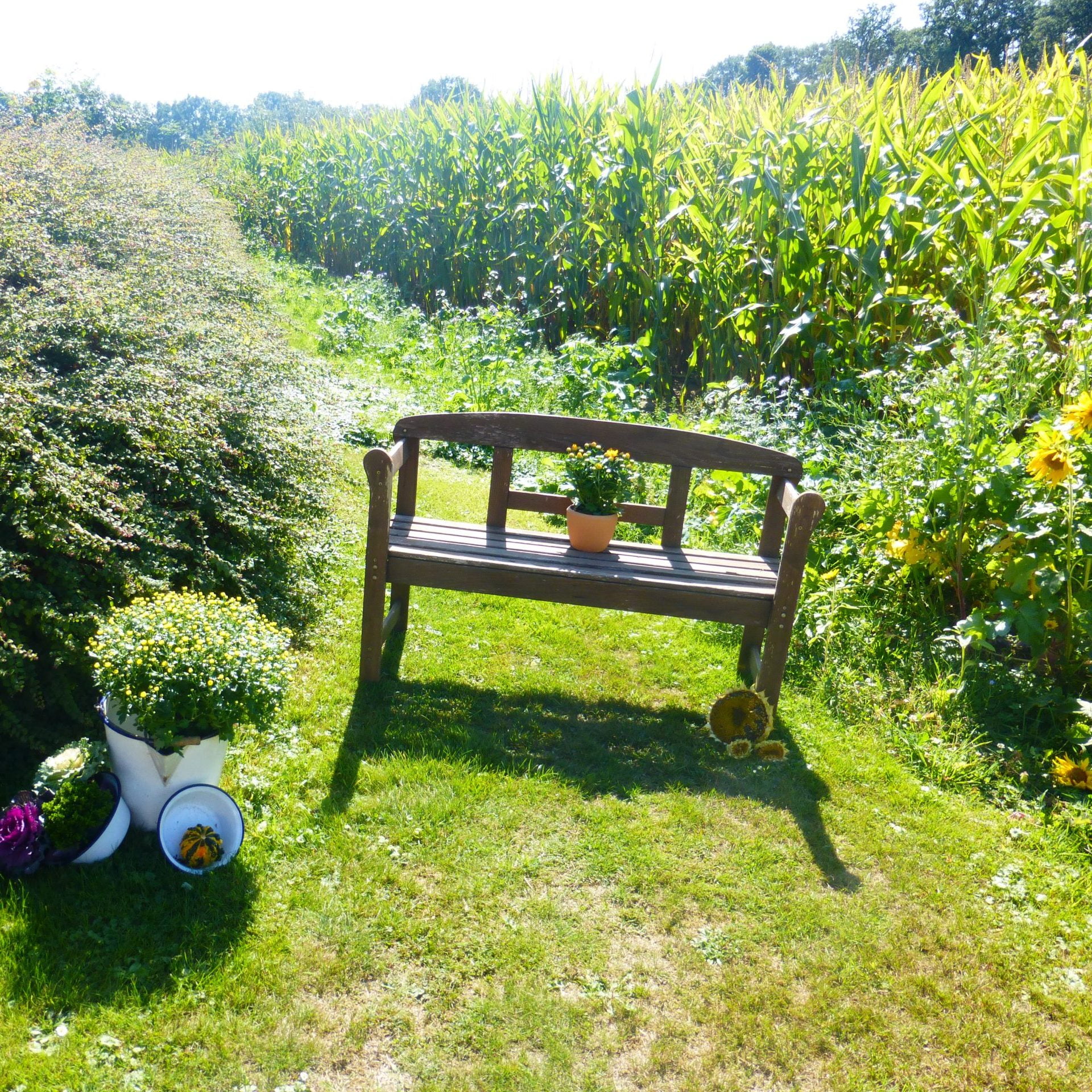 Sitzbank für die freie Trauung im Garten
